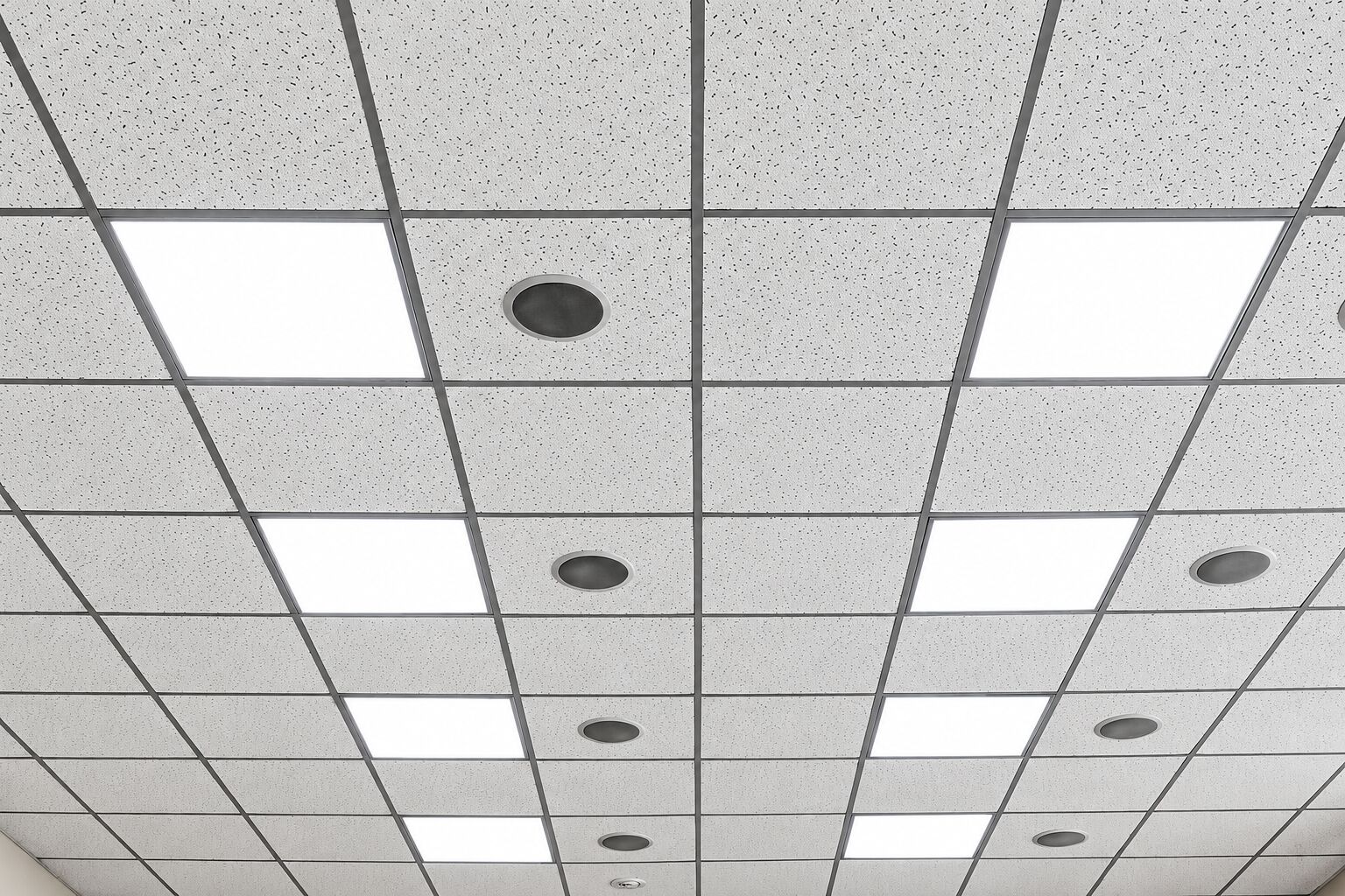 grid-ceilings