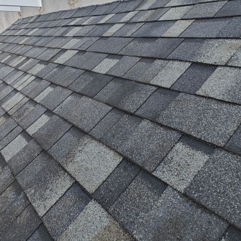 Asphalt Shingles Asphalt Shingles
